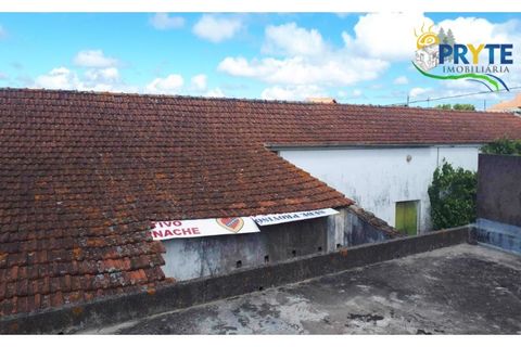 Farm i Serta, Castelo Branco, Serta - € 160.000 | Ref: AA239 - foto 30
