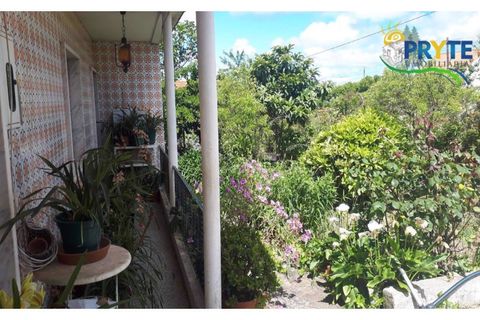 Farm i Serta, Castelo Branco, Serta - € 160.000 | Ref: AA239 - foto 31