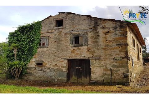 Farm i Serta, Castelo Branco, Serta - € 152.000 | Ref: AS65 - foto 1