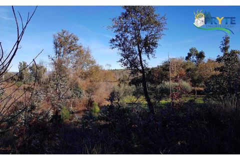 Farm i Serta, Castelo Branco, Serta - € 152.000 | Ref: AS65 - foto 2