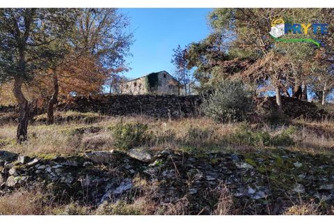 Farm i Serta, Castelo Branco, Serta - € 152.000 | Ref: AS65 - foto 4