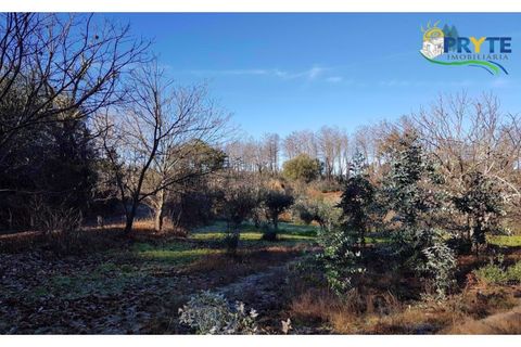 Farm i Serta, Castelo Branco, Serta - € 152.000 | Ref: AS65 - foto 6