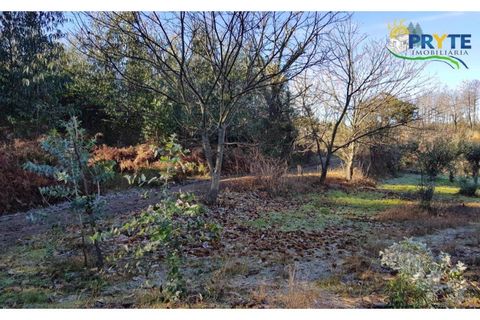 Farm i Serta, Castelo Branco, Serta - € 152.000 | Ref: AS65 - foto 7