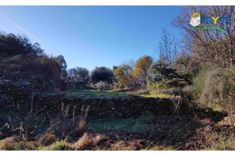 Farm i Serta, Castelo Branco, Serta - € 152.000 | Ref: AS65 - foto 8