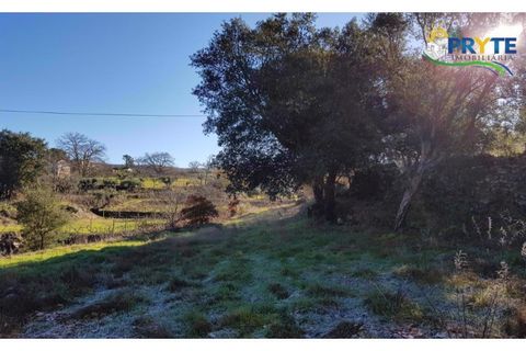 Farm i Serta, Castelo Branco, Serta - € 152.000 | Ref: AS65 - foto 10