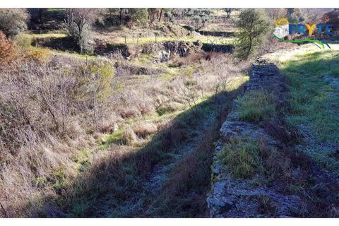 Farm i Serta, Castelo Branco, Serta - € 152.000 | Ref: AS65 - foto 11