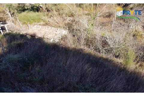 Farm i Serta, Castelo Branco, Serta - € 152.000 | Ref: AS65 - foto 12