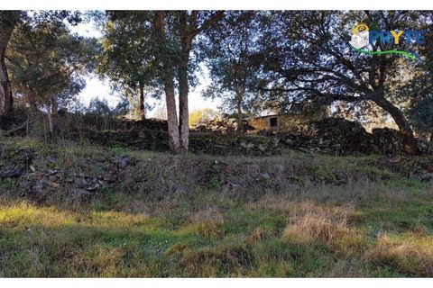 Farm i Serta, Castelo Branco, Serta - € 152.000 | Ref: AS65 - foto 13