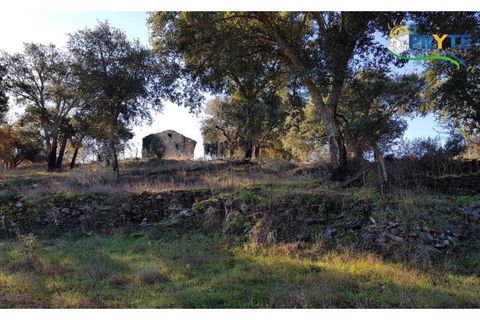 Farm i Serta, Castelo Branco, Serta - € 152.000 | Ref: AS65 - foto 14