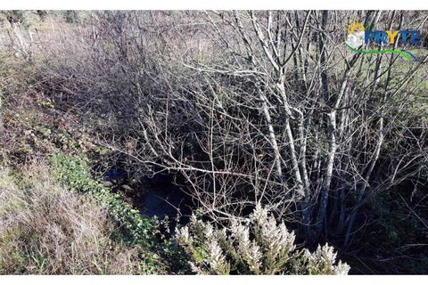 Farm i Serta, Castelo Branco, Serta - € 152.000 | Ref: AS65 - foto 16