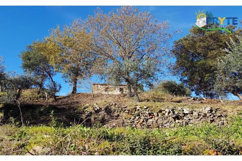 Farm i Serta, Castelo Branco, Serta - € 152.000 | Ref: AS65 - foto 17