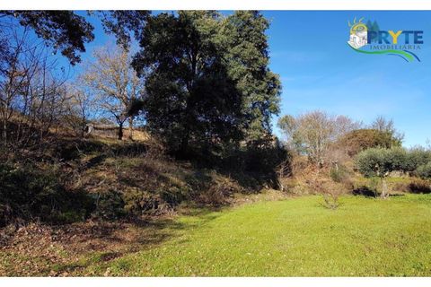 Farm i Serta, Castelo Branco, Serta - € 152.000 | Ref: AS65 - foto 21