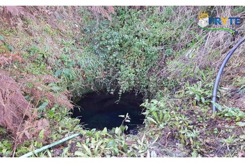 Farm i Serta, Castelo Branco, Serta - € 152.000 | Ref: AS65 - foto 22