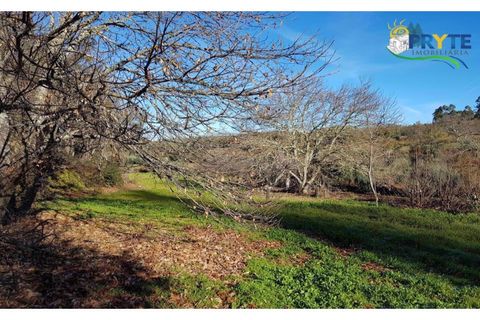 Farm i Serta, Castelo Branco, Serta - € 152.000 | Ref: AS65 - foto 25
