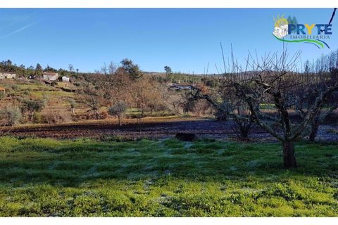 Farm i Serta, Castelo Branco, Serta - € 152.000 | Ref: AS65 - foto 26