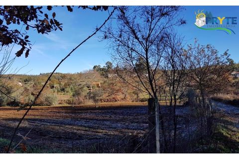 Farm i Serta, Castelo Branco, Serta - € 152.000 | Ref: AS65 - foto 27