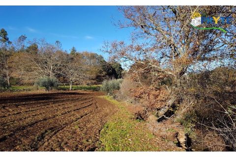 Farm i Serta, Castelo Branco, Serta - € 152.000 | Ref: AS65 - foto 32