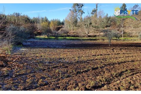 Farm i Serta, Castelo Branco, Serta - € 152.000 | Ref: AS65 - foto 33