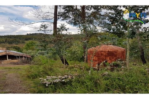 Farm i Serta, Castelo Branco, Serta - € 152.000 | Ref: AS65 - foto 34