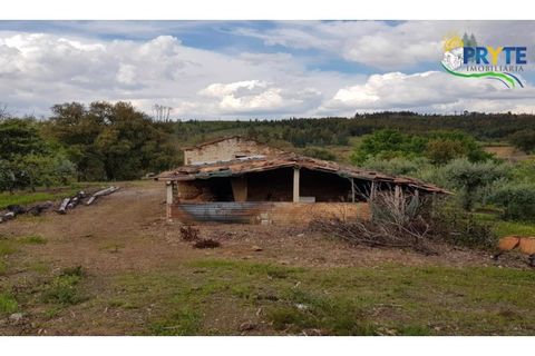Farm i Serta, Castelo Branco, Serta - € 152.000 | Ref: AS65 - foto 35