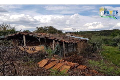 Farm i Serta, Castelo Branco, Serta - € 152.000 | Ref: AS65 - foto 36