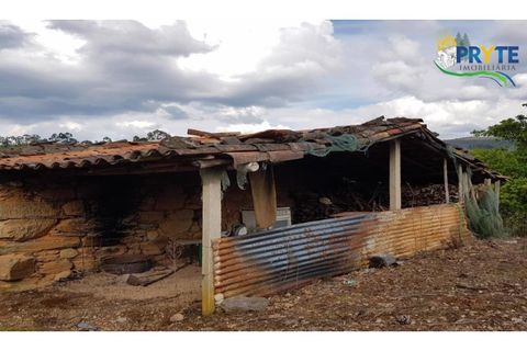 Farm i Serta, Castelo Branco, Serta - € 152.000 | Ref: AS65 - foto 37