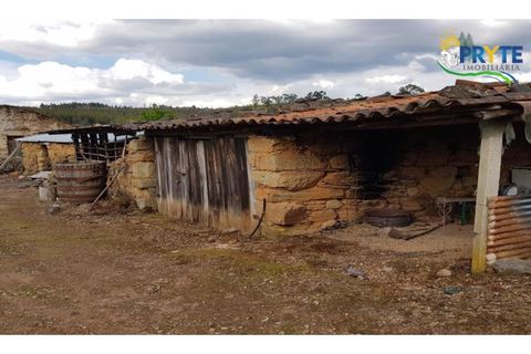 Farm i Serta, Castelo Branco, Serta - € 152.000 | Ref: AS65 - foto 38