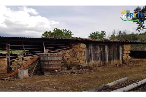 Farm i Serta, Castelo Branco, Serta - € 152.000 | Ref: AS65 - foto 39