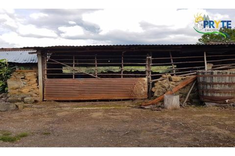 Farm i Serta, Castelo Branco, Serta - € 152.000 | Ref: AS65 - foto 40