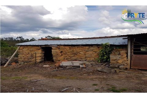 Farm i Serta, Castelo Branco, Serta - € 152.000 | Ref: AS65 - foto 41