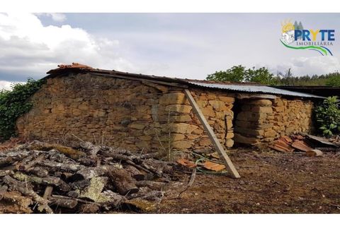 Farm i Serta, Castelo Branco, Serta - € 152.000 | Ref: AS65 - foto 42