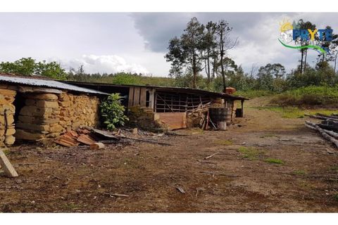 Farm i Serta, Castelo Branco, Serta - € 152.000 | Ref: AS65 - foto 43