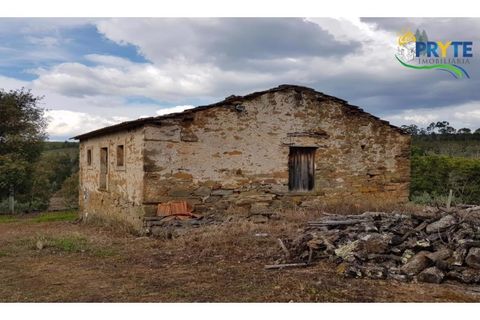 Farm i Serta, Castelo Branco, Serta - € 152.000 | Ref: AS65 - foto 44