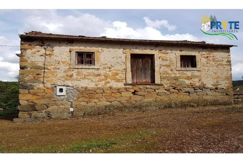 Farm i Serta, Castelo Branco, Serta - € 152.000 | Ref: AS65 - foto 45