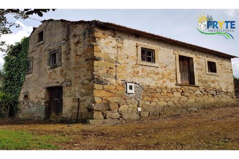 Farm i Serta, Castelo Branco, Serta - € 152.000 | Ref: AS65 - foto 46