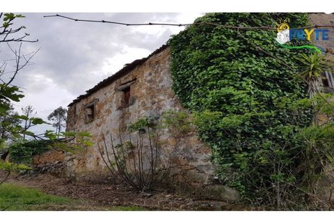 Farm i Serta, Castelo Branco, Serta - € 152.000 | Ref: AS65 - foto 47