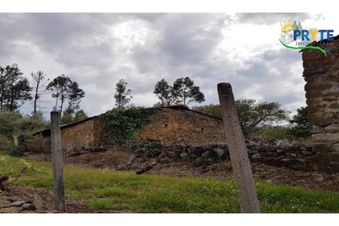 Farm i Serta, Castelo Branco, Serta - € 152.000 | Ref: AS65 - foto 48
