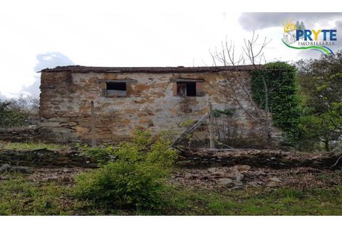 Farm i Serta, Castelo Branco, Serta - € 152.000 | Ref: AS65 - foto 49