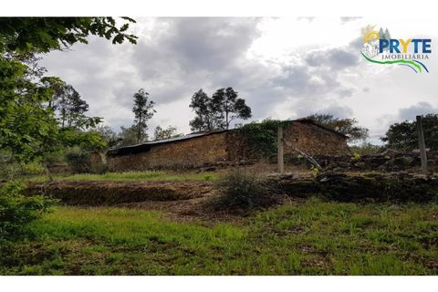 Farm i Serta, Castelo Branco, Serta - € 152.000 | Ref: AS65 - foto 50