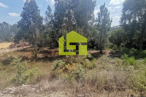 Helårsgrund i Pombal, Leiria, Pombal - € 39.500 | Ref: LT1008 - foto 2