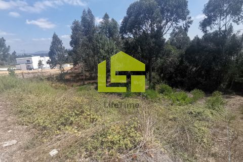 Helårsgrund i Pombal, Leiria, Pombal - € 39.500 | Ref: LT1008 - foto 3