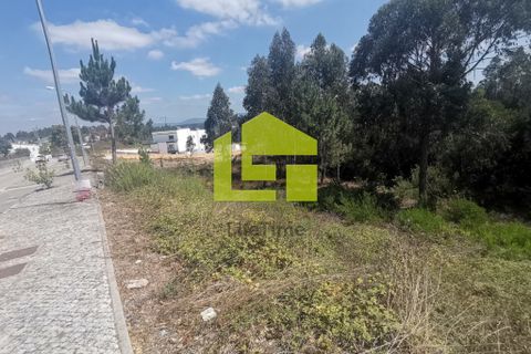 Helårsgrund i Pombal, Leiria, Pombal - € 39.500 | Ref: LT1008 - foto 4