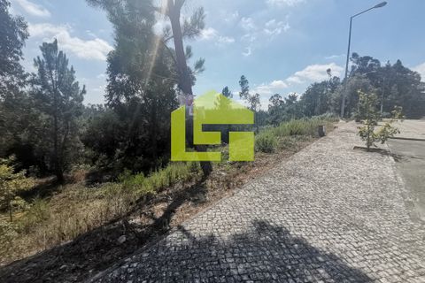 Helårsgrund i Pombal, Leiria, Pombal - € 39.500 | Ref: LT1008 - foto 5