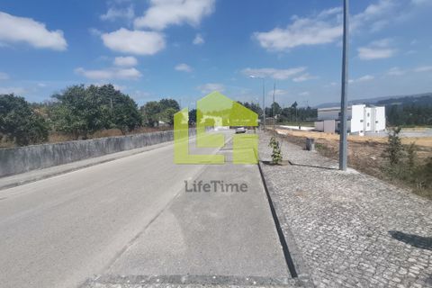Helårsgrund i Pombal, Leiria, Pombal - € 39.500 | Ref: LT1008 - foto 7