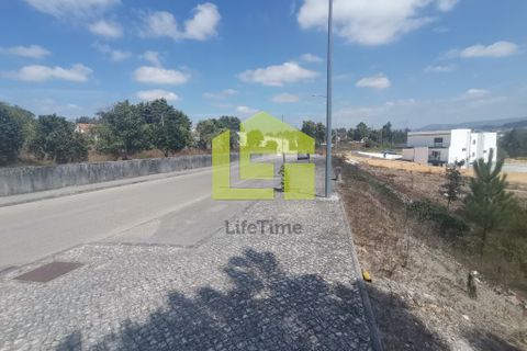 Helårsgrund i Pombal, Leiria, Pombal - € 39.500 | Ref: LT1008 - foto 8
