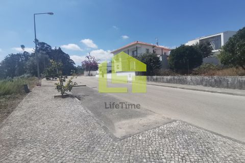 Helårsgrund i Pombal, Leiria, Pombal - € 39.500 | Ref: LT1008 - foto 9
