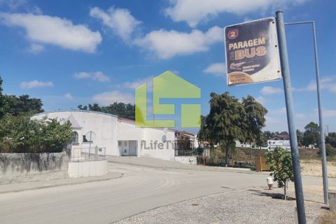 Helårsgrund i Pombal, Leiria, Pombal - € 39.500 | Ref: LT1008 - foto 10