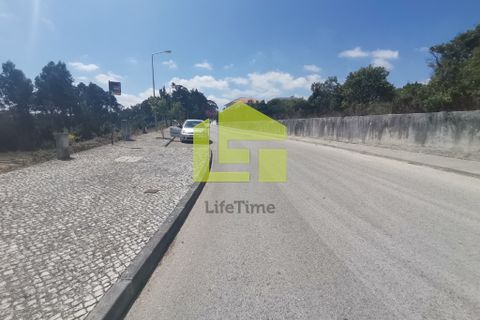 Helårsgrund i Pombal, Leiria, Pombal - € 39.500 | Ref: LT1008 - foto 11