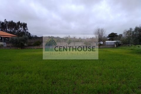 Helårsgrund i Cantanhede, Coimbra, Cantanhede - € 74.500 | Ref: T21021 - foto 2