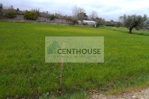 Helårsgrund i Cantanhede, Coimbra, Cantanhede - € 74.500 | Ref: T21021 - foto 5